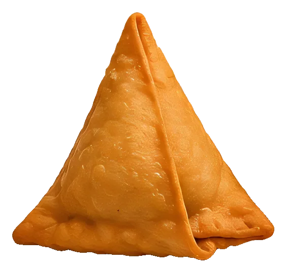 A golden samosa