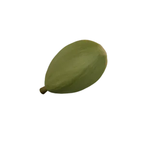 A green cardamom pod